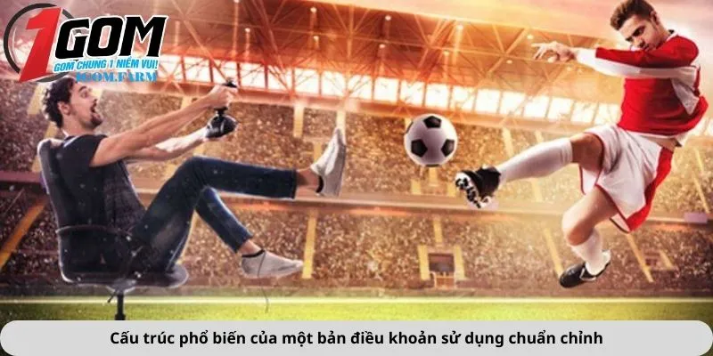 Cấu trúc phổ biến của một bản điều khoản sử dụng chuẩn chỉnh